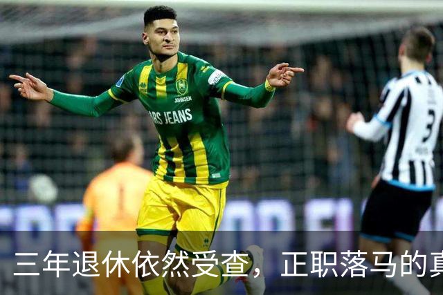 三年退休依然受查，正职落马的真相何在？